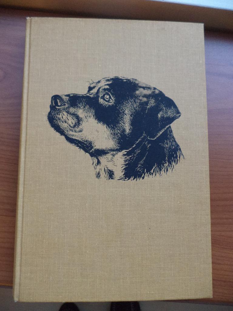 Jan van Rheenen, Mijn vriend Rik (over de hond Rotweiler ), Ophalen of Verzenden, Gelezen, Honden