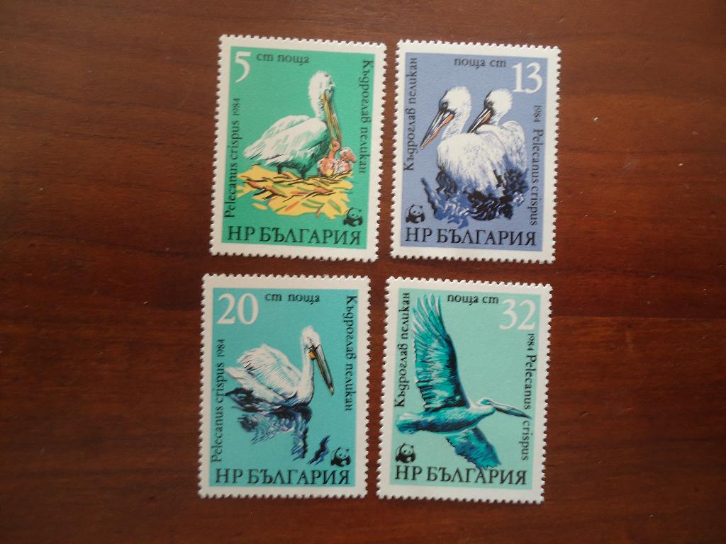 Vogels pelikaan WNF Bulgarije 1984, mi. 3303-06 postfris, Ophalen of Verzenden, Postfris, Dier of Natuur