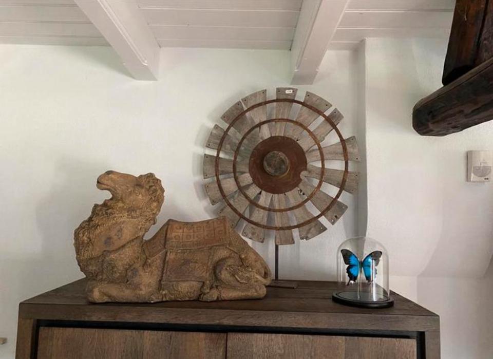 Stoer beeld van een kameel, Ophalen