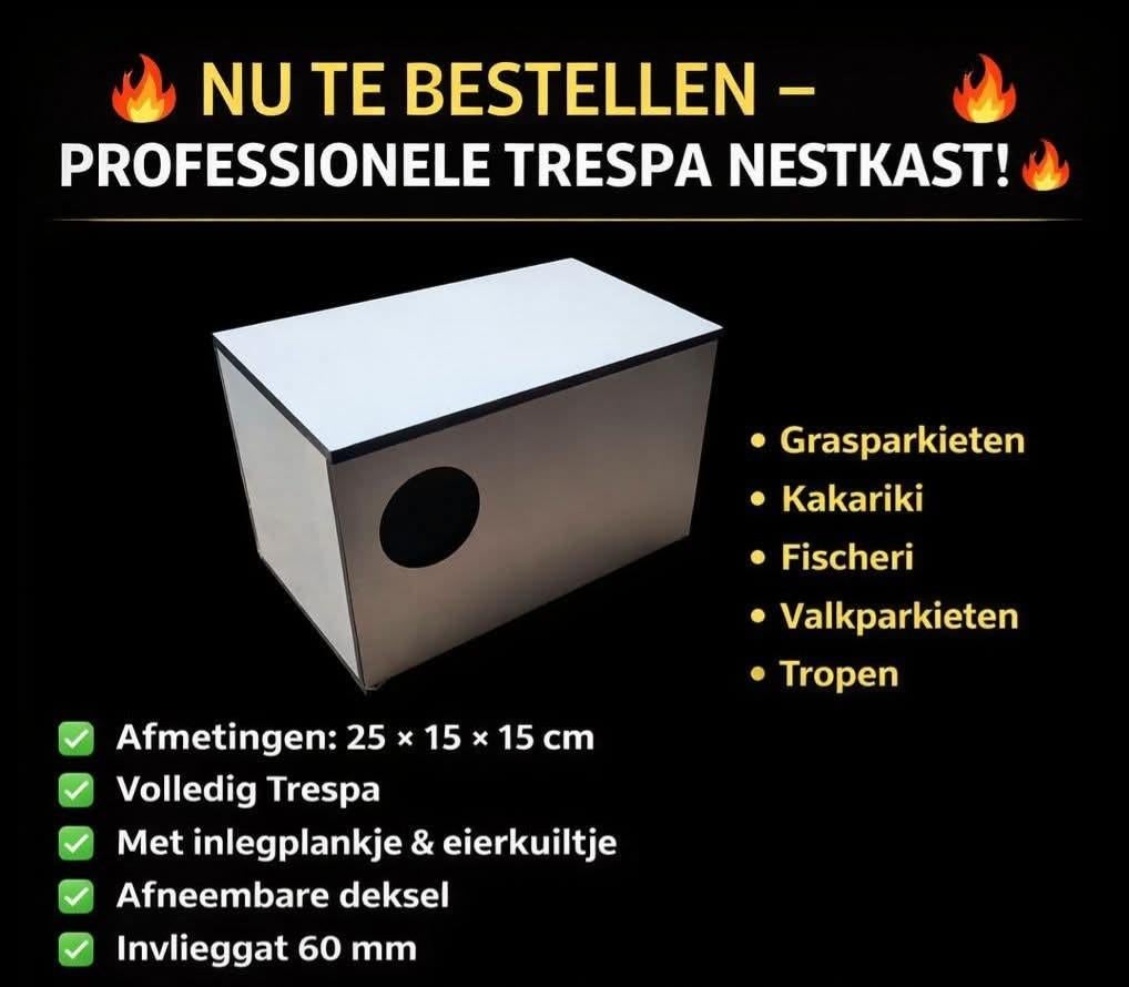 Nestblok, Ophalen of Verzenden