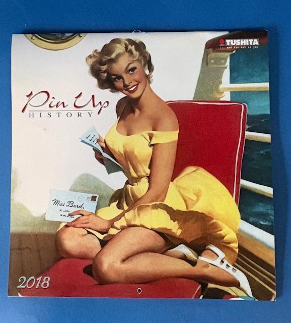 Pinup kalender uit 2018, Ophalen of Verzenden, Maandkalender, Nieuw