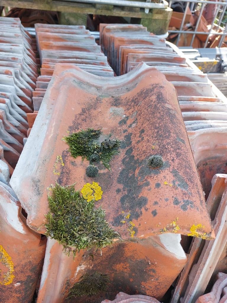 Dakpannen div, Steen of Klei, Ophalen of Verzenden, Zo goed als nieuw, 15 m² of meer