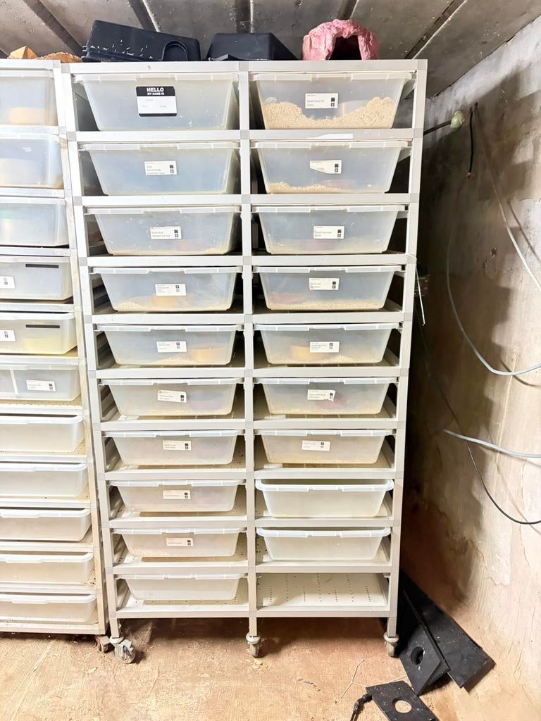 Compleet v70 rack, Dieren en Toebehoren, Reptielen en Amfibieën | Toebehoren, Zo goed als nieuw, Ophalen