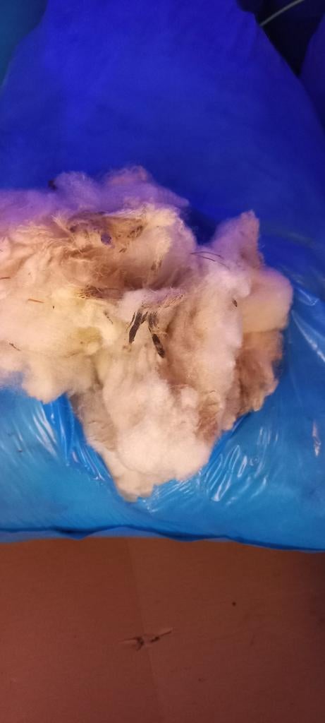 Wol, Hobby en Vrije tijd, Ophalen, Los Vilt