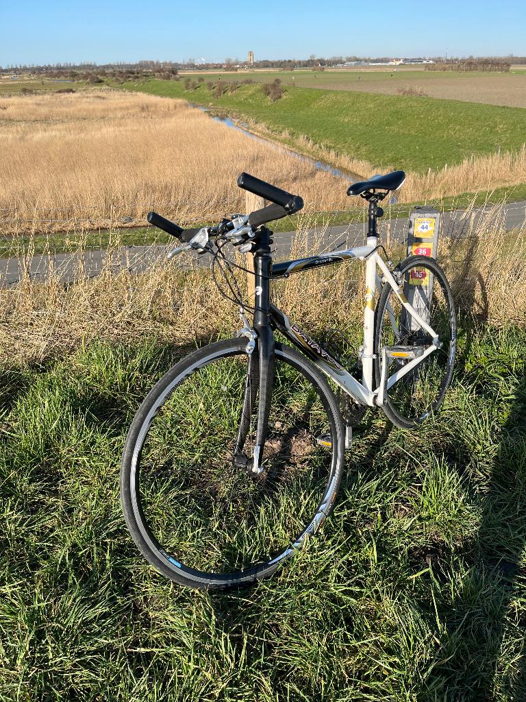 Batavus Cruiser SL Racefiets, Ophalen, 28 inch, Heren, Batavus