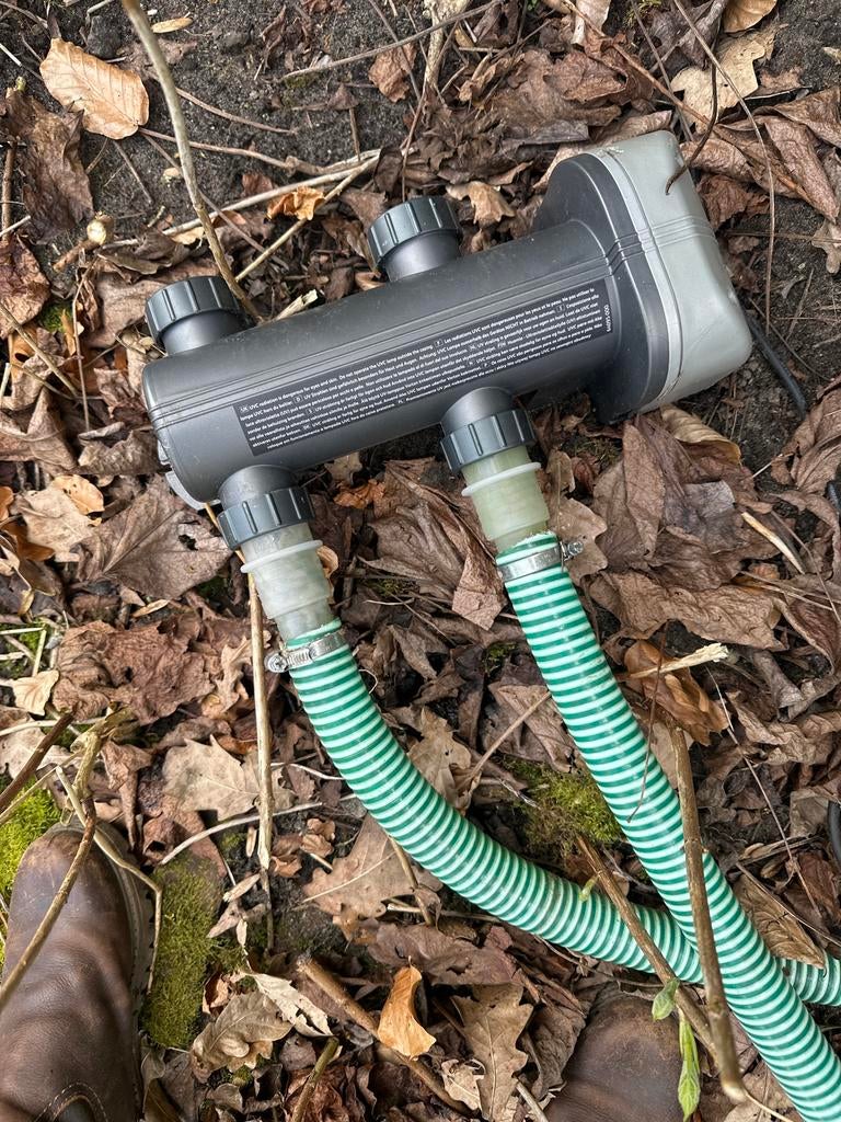 Prachtige grote koi karpers, Karper of Koi