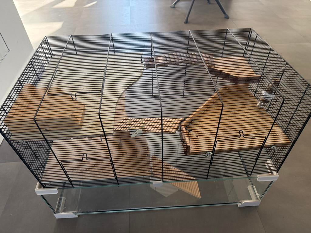 Ferplast kooi met veel extra voor hamster, muis, knaagdieren, Kooi, Gebruikt, Muis, 75 tot 110 cm