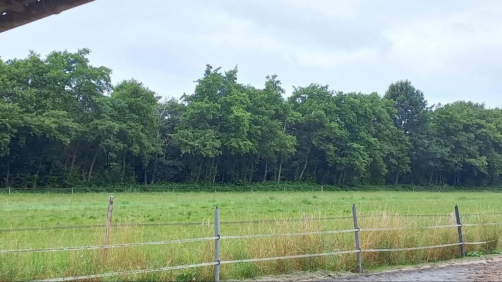 Weiland te huur gevraagd