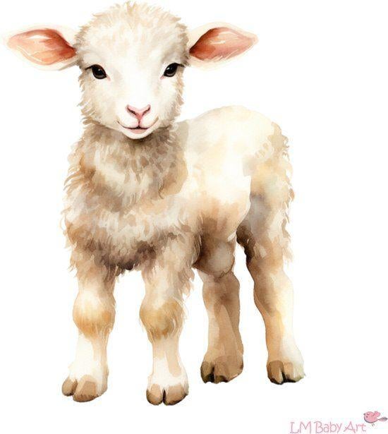 Gezocht: Leblam/Fleslam, Dieren en Toebehoren, Vrouwelijk, Schaap, 0 tot 2 jaar