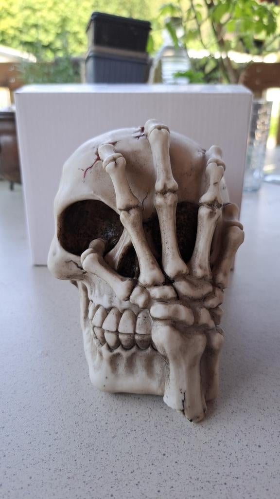 Nieuw schedel met skelet hand, Verzenden, Nieuw, Fantasy