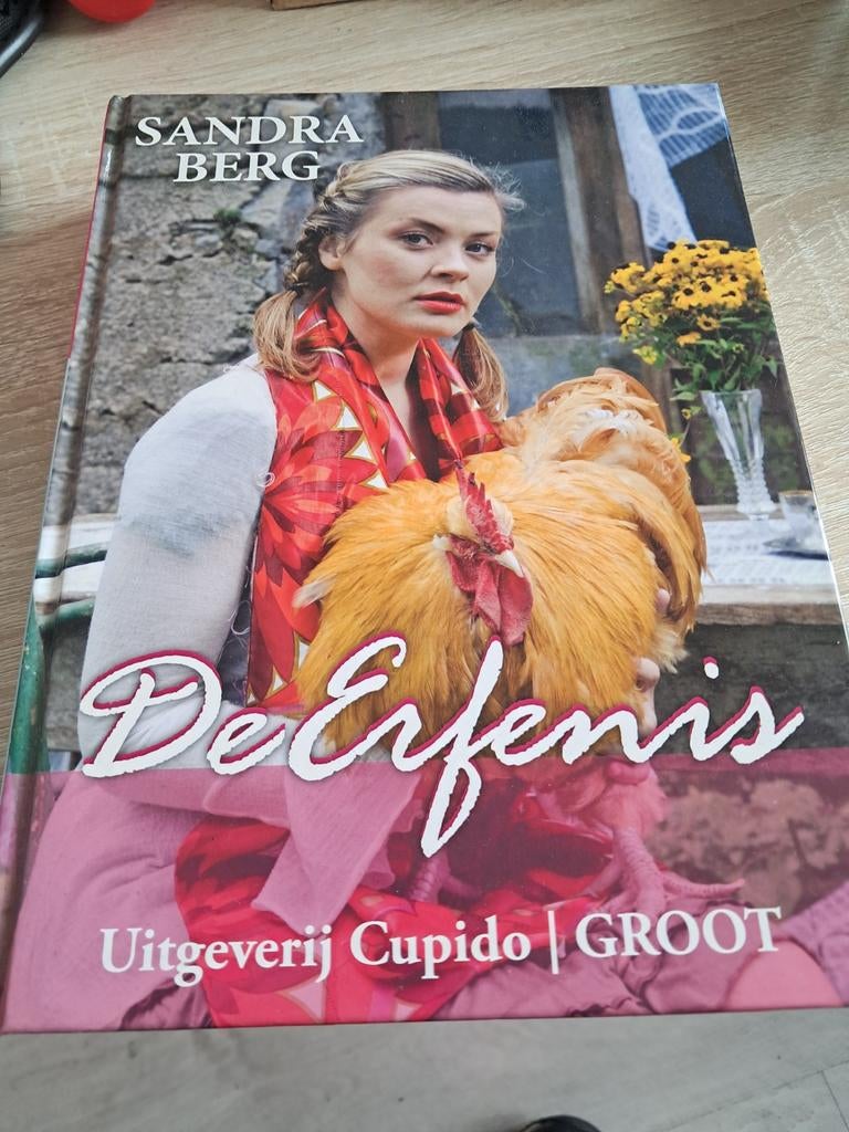 De Erfenis - Sandra Berg (grote letters), Boeken, Romans, Ophalen of Verzenden