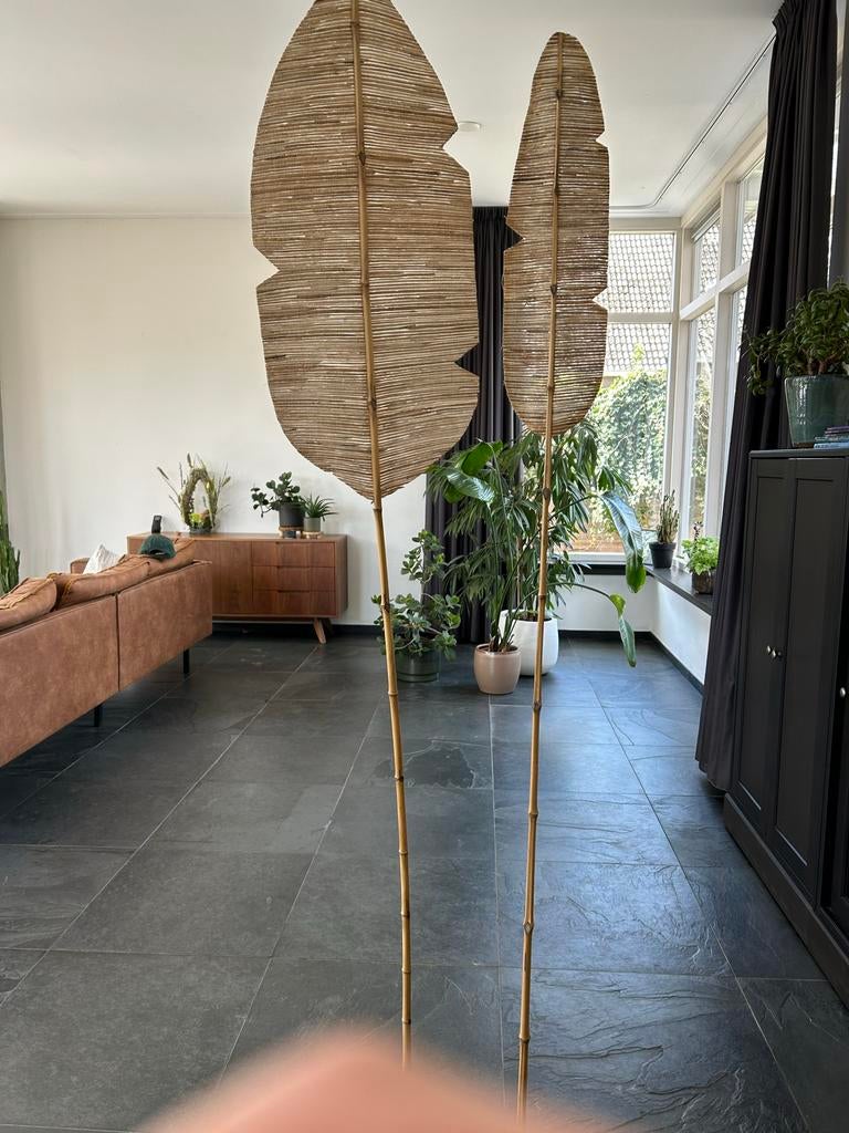 Decoratieve waaier bladeren op bamboestok, Ophalen, Mediterraans, Zo goed als nieuw, Natuurlijk materiaal