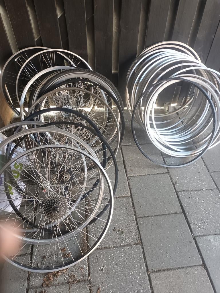 VELE FIETSWIELEN EN VELGEN IN EEN KOOP, Ophalen