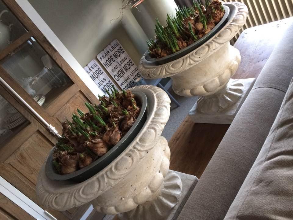 Prachtige betonnen louvre vaas, nog twee beschikbaar, Tuin en Terras, Tuinvazen, Ophalen, Zo goed als nieuw