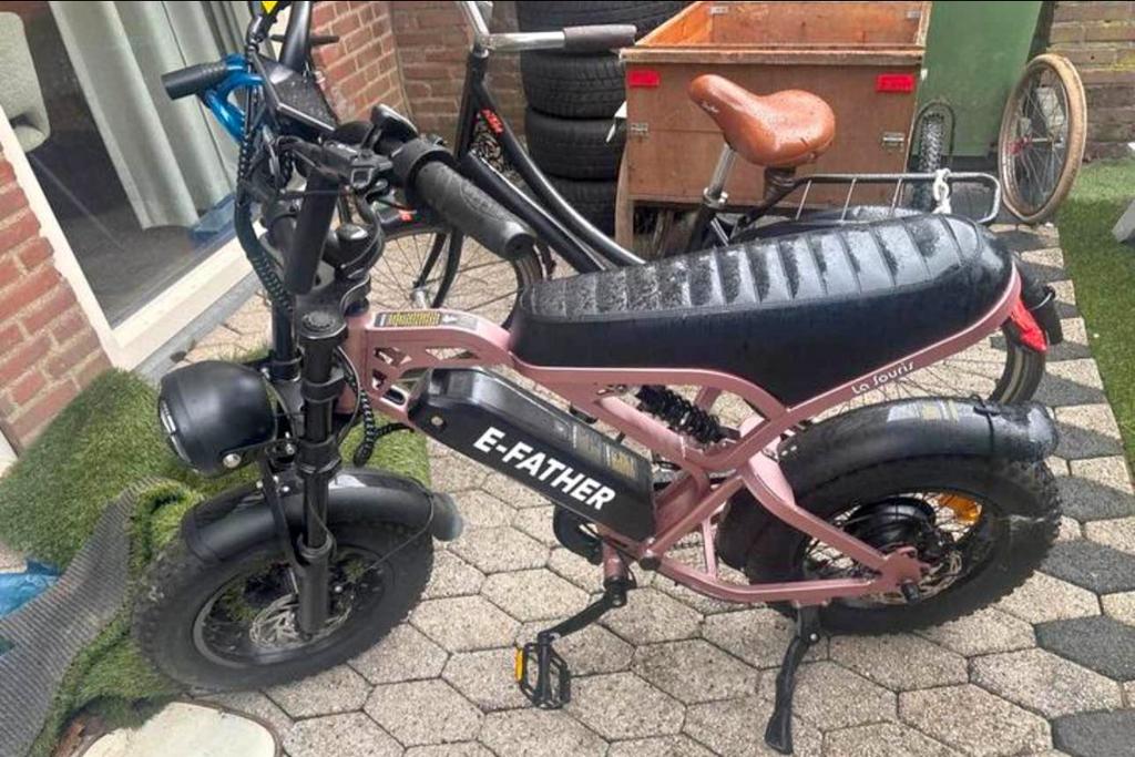 Fatbike mini v20 pro, Ophalen, Gebruikt, Overige merken