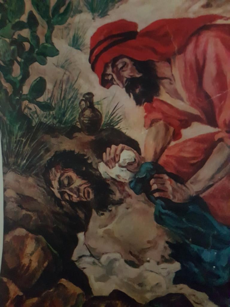 SCHOOLPLAAT RELIGIE DE BARMHARTIGE SAMARITAAN, Ophalen of Verzenden, Natuur en Biologie