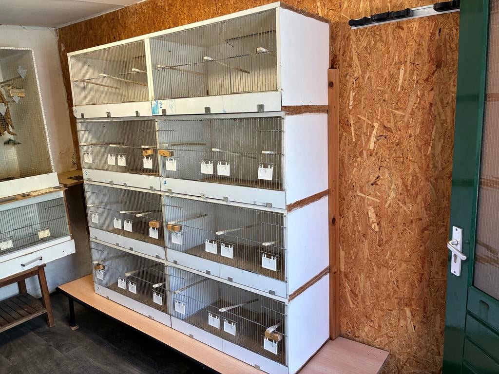 Broedkooien voor het kweken van vogels, Ophalen, Gebruikt, Hout, Broedkooi of Kweekkooi