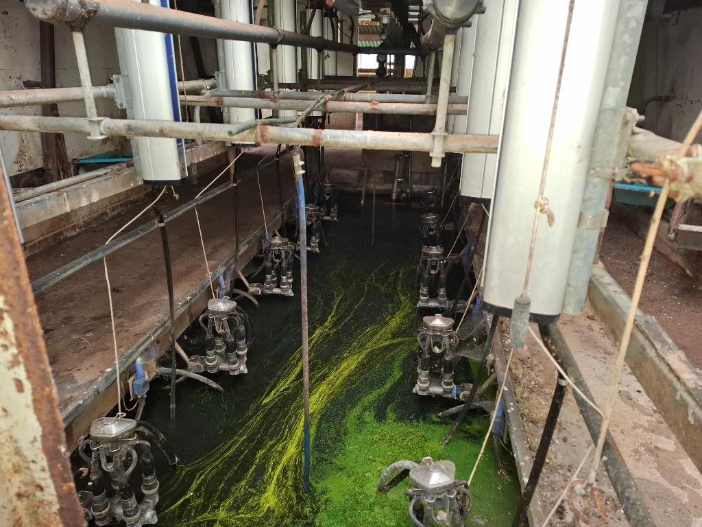 alpha DeLeval melkstal met toebehoren, Toebehoren