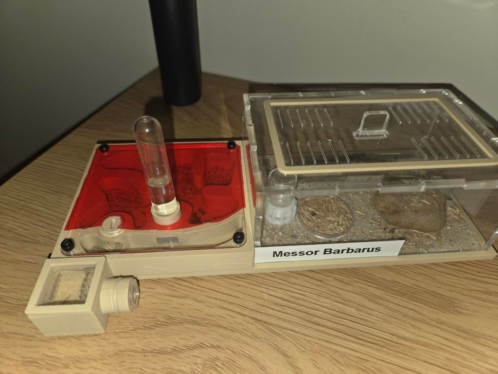 M.Barbarus met starterset, Maart, Meerdere dieren