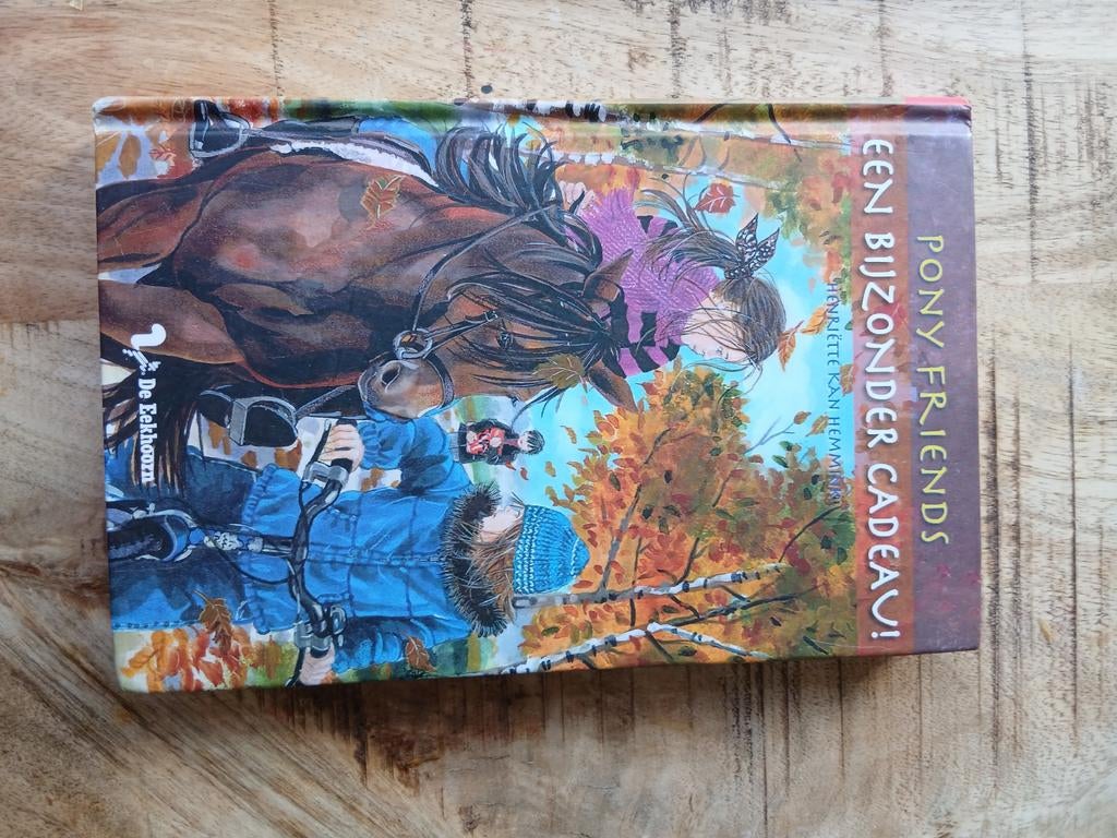 Pony Friends: Een Bijzonder Cadeau! - Henriëtte Kan Hemmink, Boeken, Kinderboeken | Jeugd | onder 10 jaar, Gelezen, Fictie algemeen