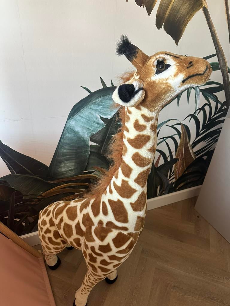 Grote giraffe, Ophalen