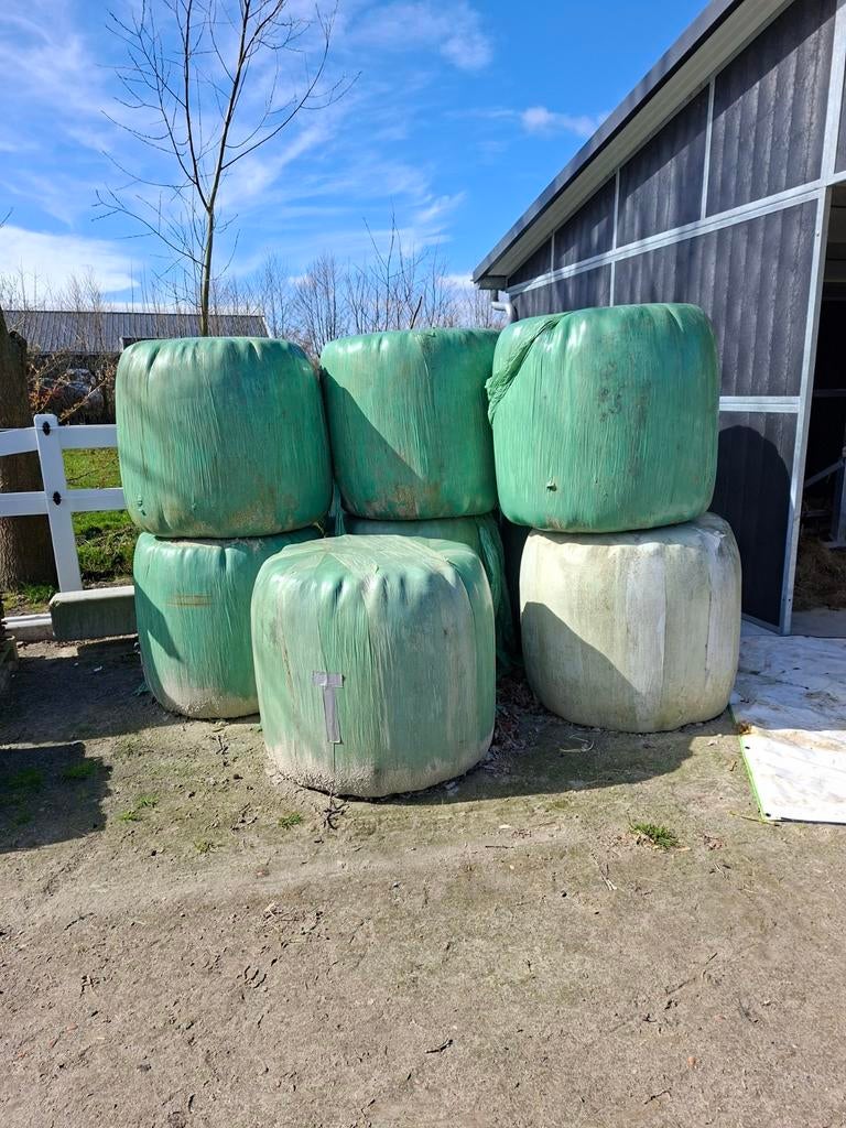 9 midi balen voordroog van afgelopen jaar, Dieren en Toebehoren, Dierenvoeding, Ophalen, Vee