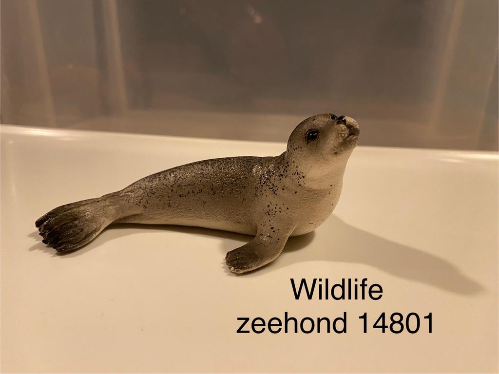 Diverse sleichdieren, Verzamelen, Dierenverzamelingen, Ophalen of Verzenden, Nieuw, Paard, Beeldje of Figuurtje