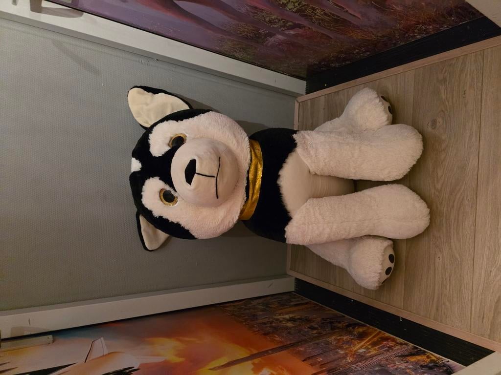 Grote husky hond, Ophalen, Zo goed als nieuw, Hond