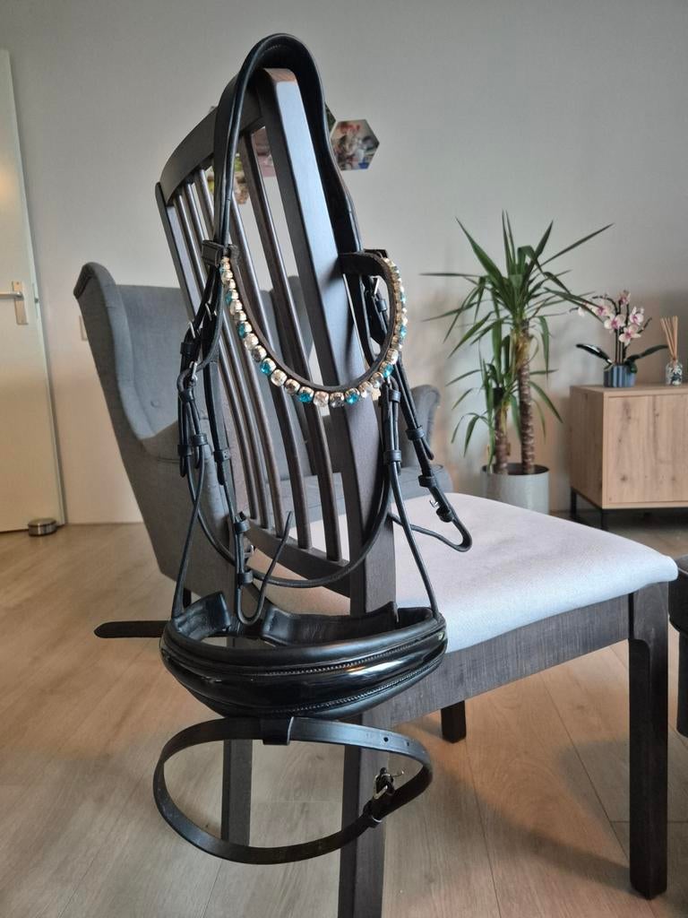 Hoodstel maat full, Ophalen of Verzenden, Zo goed als nieuw, Dressuur