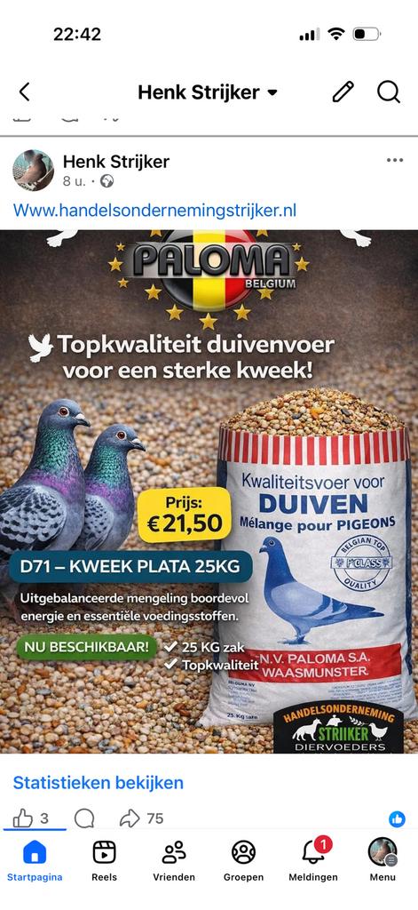 Paloma Duivenvoer, Mannelijk, Postduif