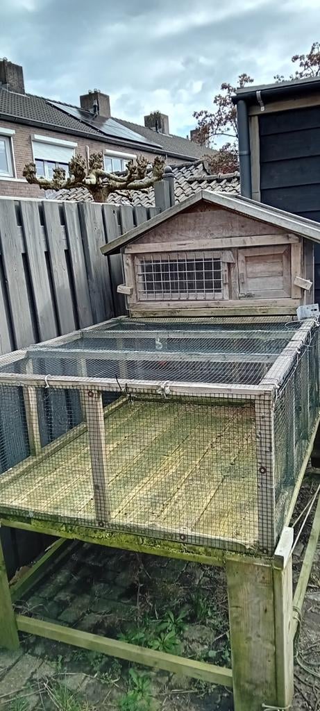 TE KOOP LEUKE KONIJNEN  HOKETC ETC, Ophalen, 110 cm of meer, Hok, Minder dan 60 cm