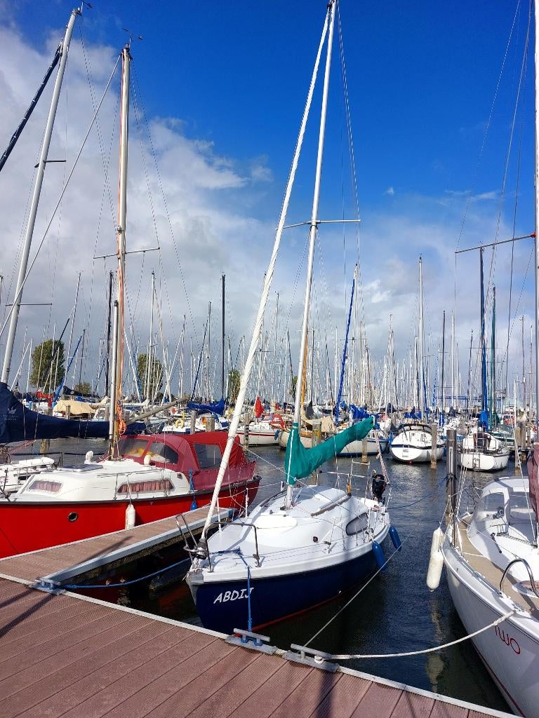 Sunbeam 22, Watersport en Boten, Kajuitzeilboten en Zeiljachten, Ophalen, Gebruikt, Tourjacht of Cruiser, 6 tot 9 meter