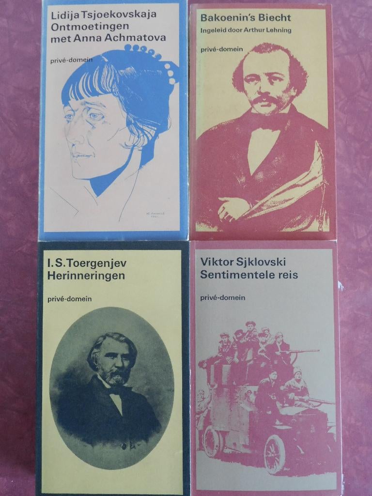 Bakoenin Tsjoekovskaja Sjklovski Toergenjev, Boeken, Ophalen of Verzenden, Gelezen