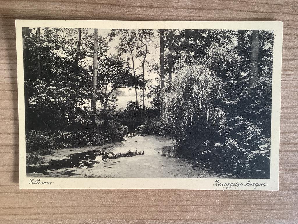 ansichtkaart Ellecom, Ophalen of Verzenden, Ongelopen