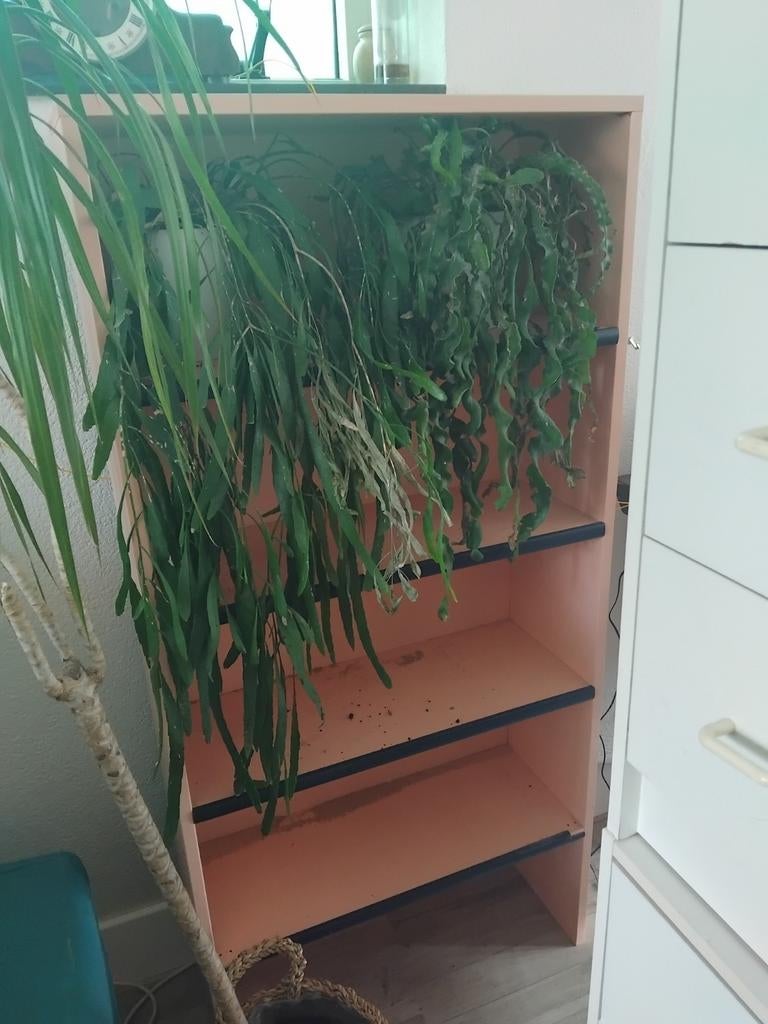 Boekenkast, Huis en Inrichting, Ophalen