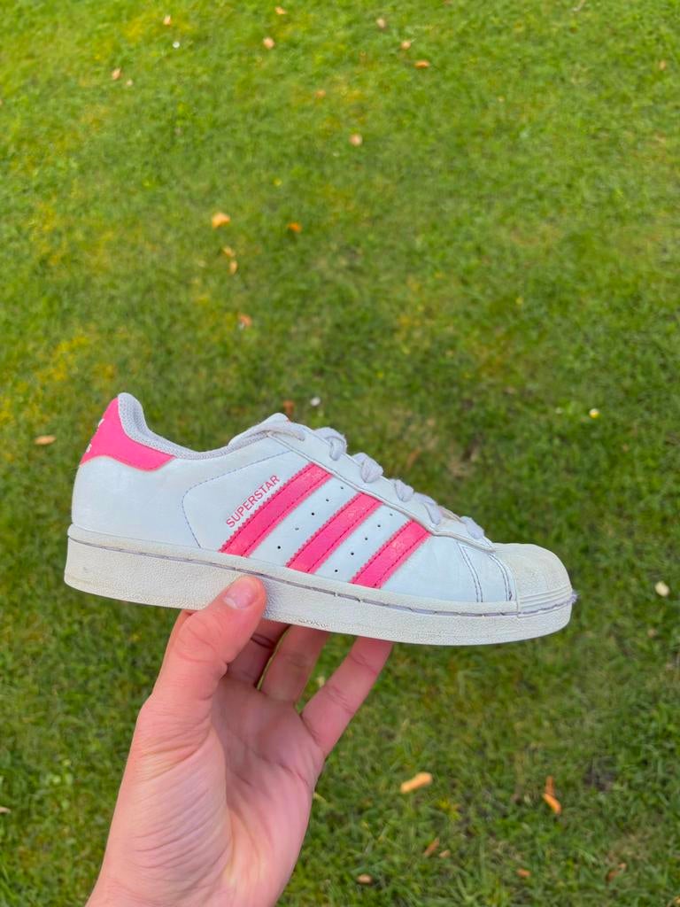 Adidas “superstar” maat 35 1/2, Kleding | Dames, Schoenen, Zo goed als nieuw, Sneakers of Gympen, Wit, Ophalen of Verzenden