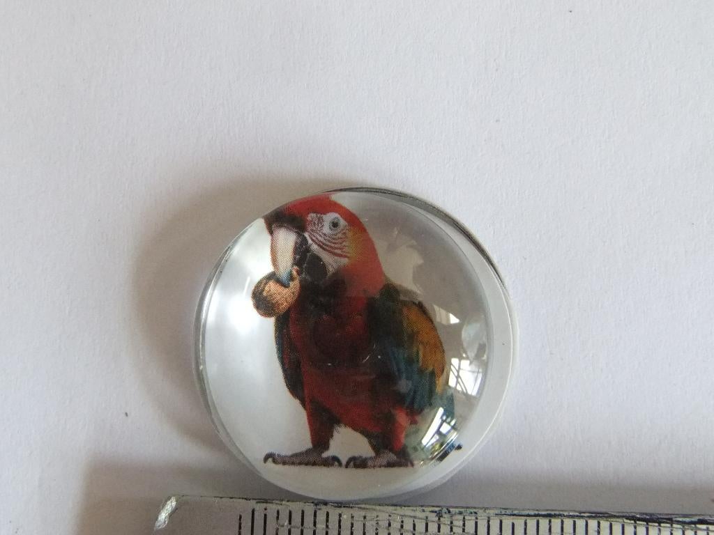 rode ara  pin(speldje) 25 mm, Verzenden, Nieuw, Overige onderwerpen