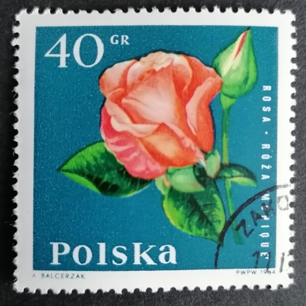 POLEN - roos 1964, Verzenden, Polen, Gestempeld