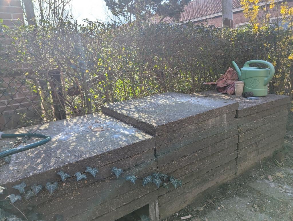 GRATIS: 15m2 grote tuintegels 60x60cm - Zelf ophalen, Tuin en Terras, Tegels en Klinkers, Ophalen of Verzenden, Gebruikt, Beton