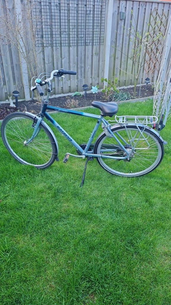 Herenfiets (batavus allegro), Ophalen of Verzenden