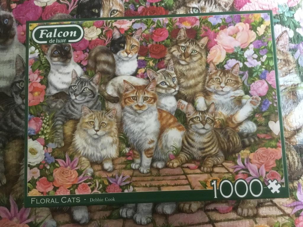 Falcon, Ophalen of Verzenden, Zo goed als nieuw