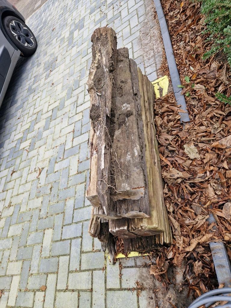 Bielzen gebruikt, Tuin en Terras, Bielzen en Borders, Ophalen