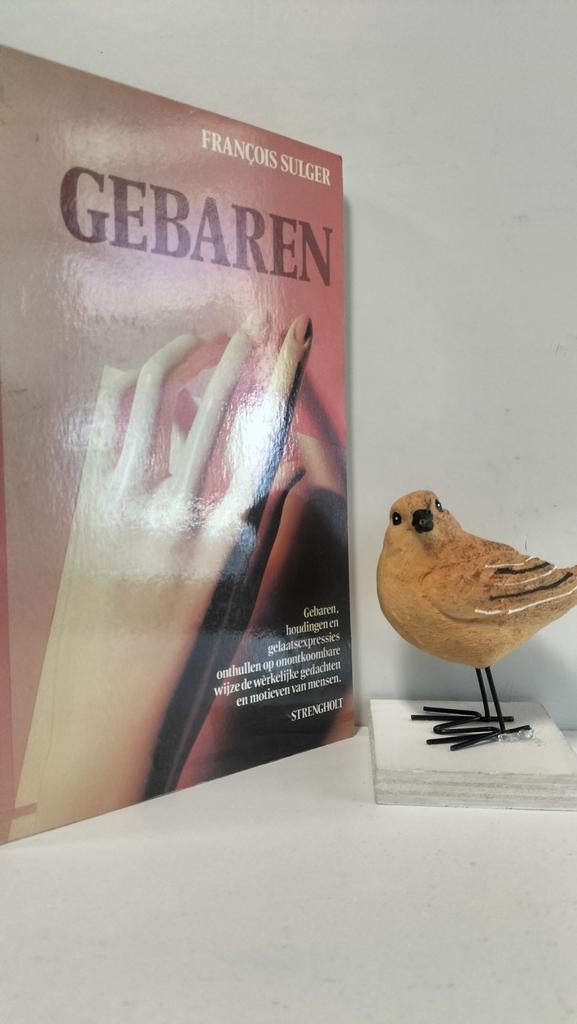 Sulger, Francios; Gebaren, Ophalen of Verzenden, Gelezen, Ontwikkelingspsychologie