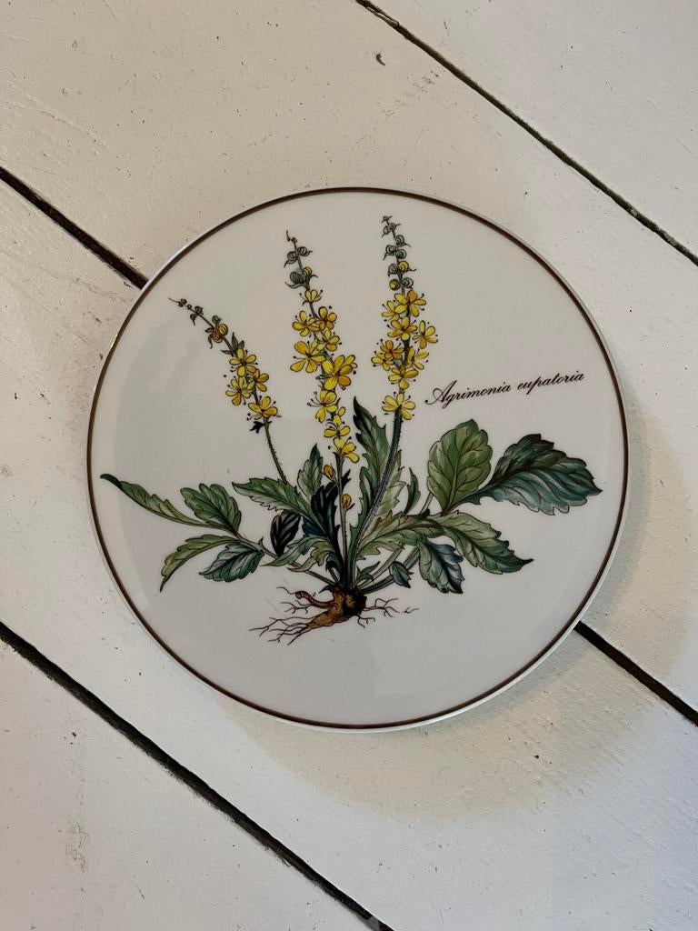 Villeroy & Boch, Botanica. Onderzetter, Ophalen of Verzenden, Zo goed als nieuw