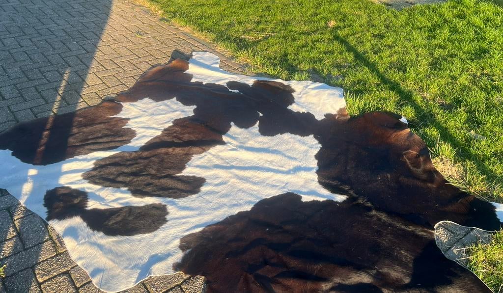 Echt Koe kleed, Ophalen, Zo goed als nieuw, Minder dan 10 m², Tapijt