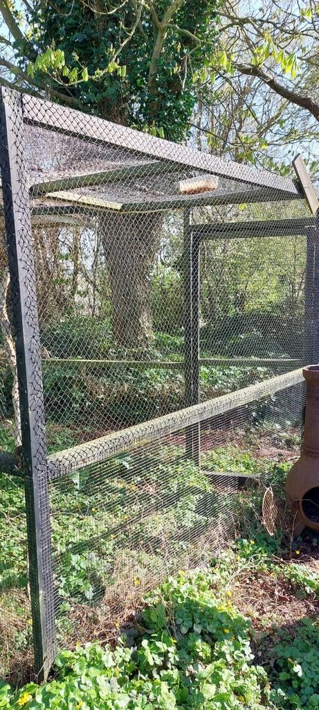 Volière, in goede staat. Met fijne netten en gaas., Ophalen, Hout, Volière