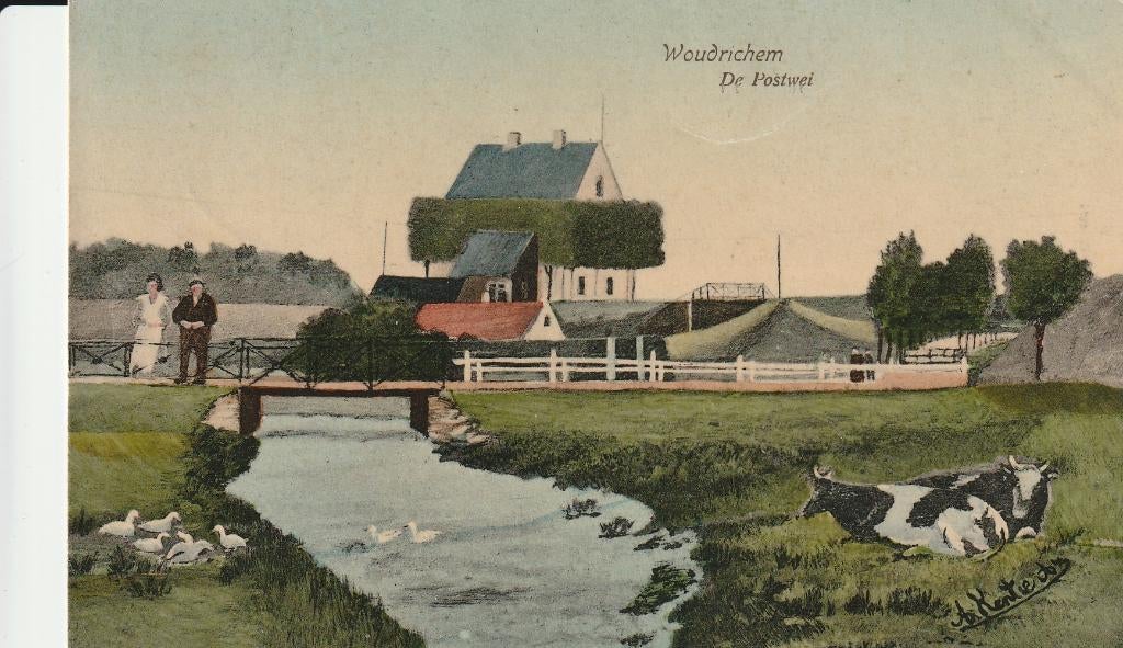 WOUDRICHEM MET KOEIEN, Verzenden, Voor 1920, Gelopen, Noord-Brabant