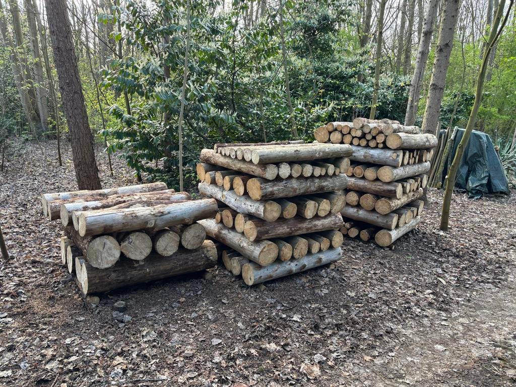 2,5 kuub Dennenstammen - Diverse diktes - Lepelstraat, Minder dan 3 m³, Ophalen, Overige houtsoorten, Stammen