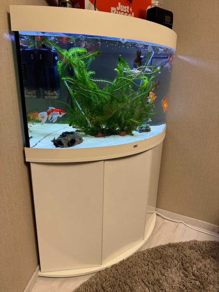 Juwel Aquarium Trigon 190, Ophalen, Zo goed als nieuw, Leeg aquarium