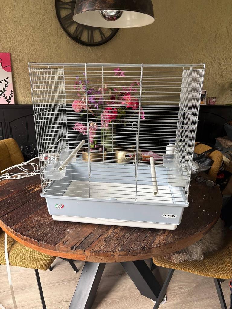 Vogelkooi met toebehoren, Ophalen, Gebruikt, Metaal, Vogelkooi